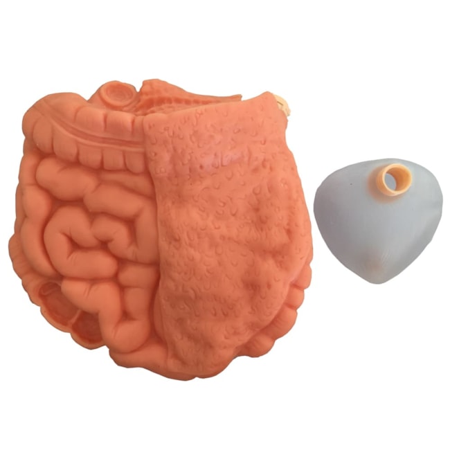 Manequim Bissexual com Órgãos Internos Simulador para Treino de Enfermagem-e49cdf29-79c0-48df-b16f-0f7c5953bf1e