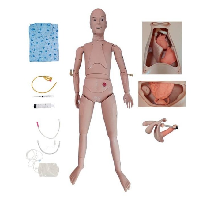 Manequim Bissexual com Órgãos Internos Simulador para Treino de Enfermagem-f6f34d31-591b-4bee-a9ed-7bf08dfc3f6c