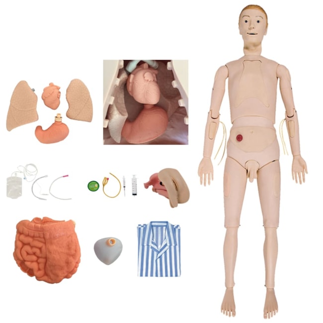 Manequim Bissexual com Órgãos Internos Simulador para Treino de Enfermagem-588f3cc6-ec27-45f0-8e66-6c4a421fc79a