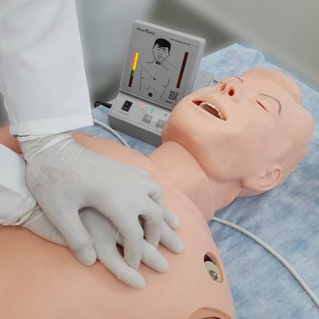 Manequim Bissexual, Simulador Para Treino Habilidades Clínicas, Ausculta, Acls, Dea E Ecg Ren-98de4403-7529-4624-99c3-b5a19dce675f