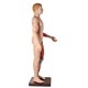 Manequim Muscular de 170 cm Masculino com Órgãos Internos 32 Partes