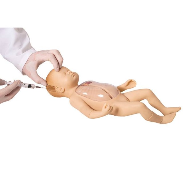 Manequim Neonatal Avançado para Punção Venosa Central e Periférica-8adc89d1-7460-47d4-bc99-8cb97db7e7c5