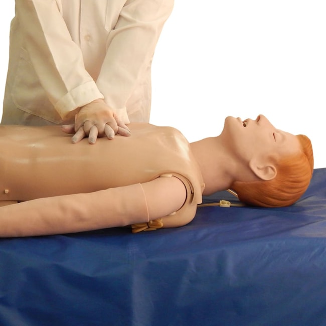 Manequim Simulador para Treinamento RCP ECG DEA e Intubação-adec6161-7c5b-4bca-ac37-bac0163e4ffb