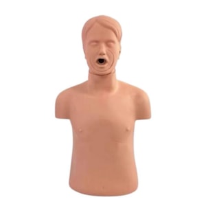 Manequim Torso Adulto Simulador da Manobra de Heimlich e Desengasgo