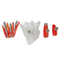Mão Muscular Com Principais Nervos e Vasos 5 Partes-245ec4d0-7c89-4fb9-a16a-fa6b8f85dd3c