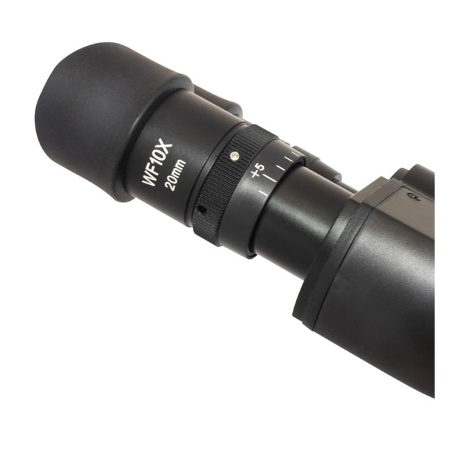 Microcópio Trinocular Ótica Infinita Planacromática-96eaa5d8-7870-495a-8411-440efb9c0005