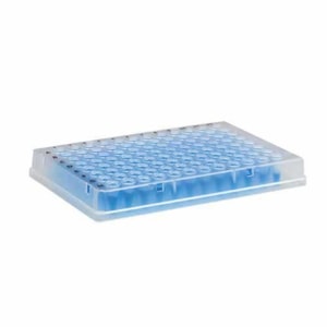 Microplaca De Pcr Com Borda 96 Poços Pacote com 10 Unidades Kasvi