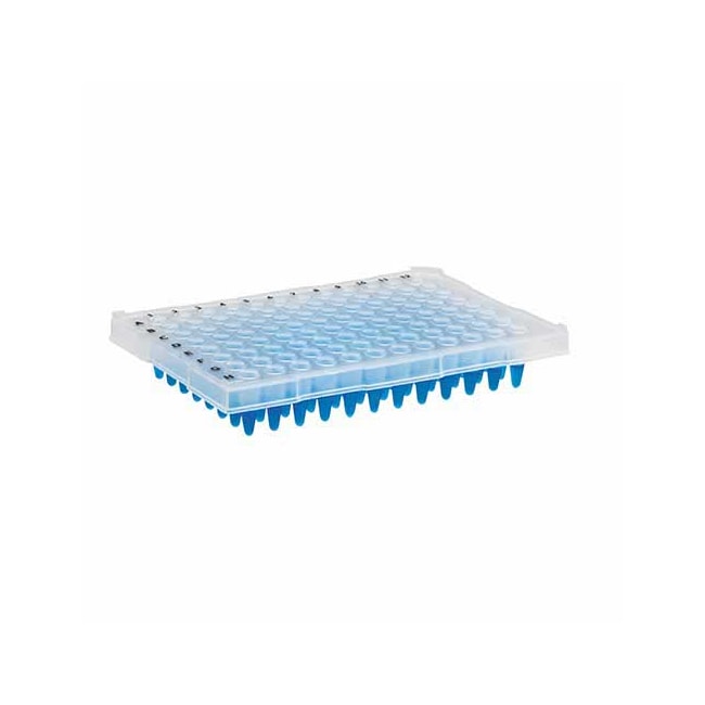 Microplaca De Pcr Meia Borda 96 Poços Pacote Com 25 Unidades Kasvi-5375ba50-8cf7-4005-89f3-571887b0ab25