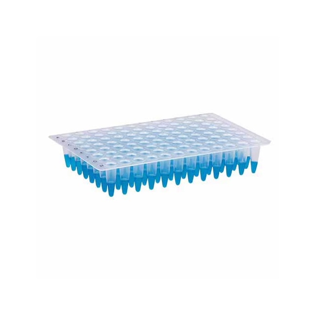 Microplaca De Pcr Sem Borda 96 Poços Pacote com 25 Unidades Kasvi-d102b560-5361-431d-a28b-728c2fff7bdc