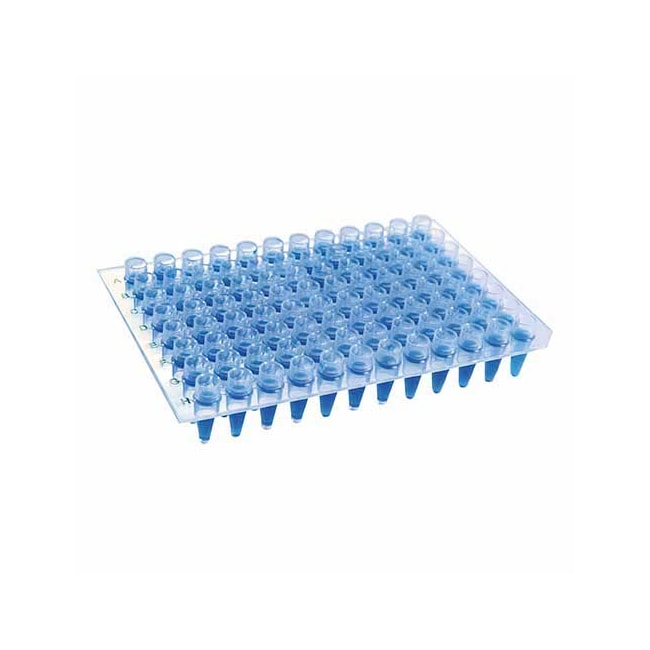 Microplaca De Pcr Sem Borda Com Poços Elevados Kasvi-4818d155-9221-4cfd-9c95-d3333c529e12
