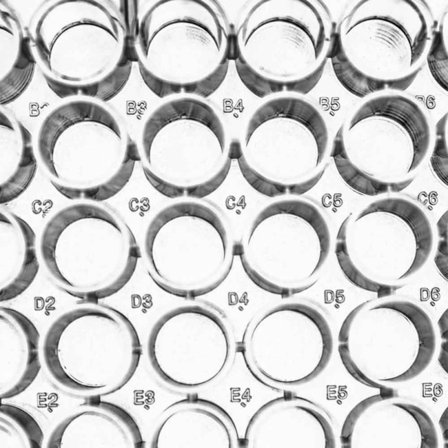 Microplaca para Elisa 96 poços Fundo Chato-05af3b26-480f-407c-ac1c-a2dcd0c64a27
