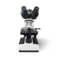 Microscópio Binocular Com Câmera-8f3509f3-4fee-44ff-8bd5-db6ba8cc6bca
