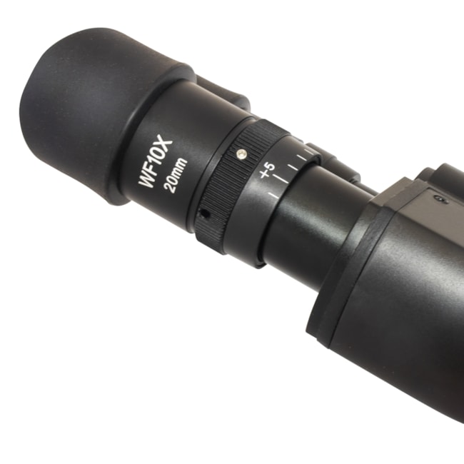 Microscópio Binocular Correção Infinita-7a6954cc-7d45-41eb-b694-71b67018d80b