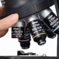 Microscópio Binocular Nikon Eclipse Si-d0b6313c-f2da-4ac8-a6b2-5aa5467903c8