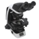 Microscópio Binocular Nikon Eclipse Si