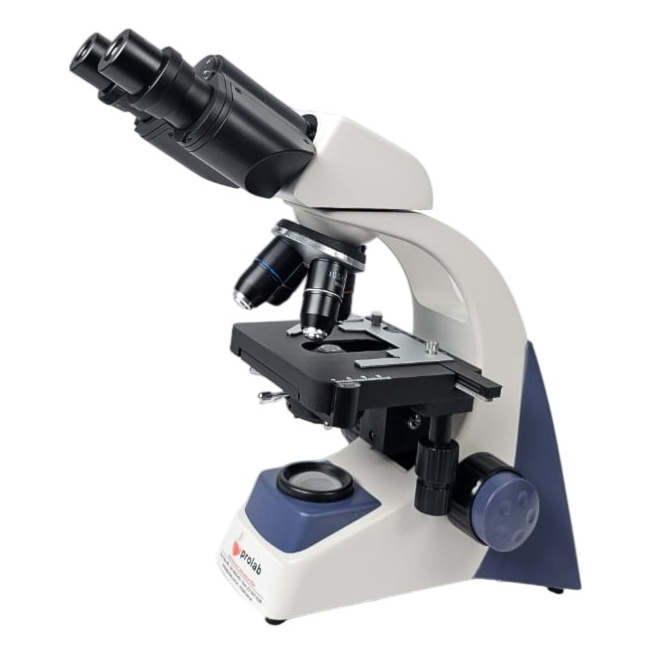 Microscópio Biológico Binocular Aumento até 1600X Alta Definição-821121d4-8032-4c6f-b090-a2e6bbf1b911