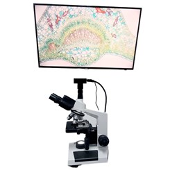 Microscópio Trinocular Com Câmera