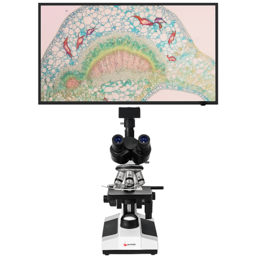 Microscópio Trinocular Com Câmera