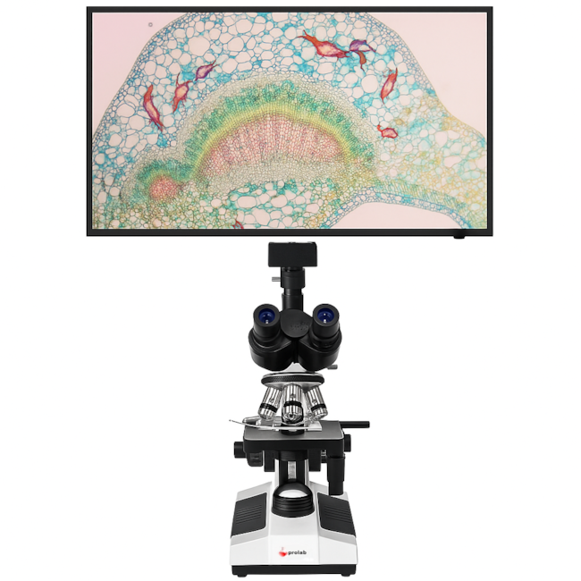 Microscópio Trinocular Com Câmera-f81cb92a-812e-4e6c-a76d-67e71a5eda89