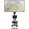 Microscópio Trinocular Com Câmera-1bc98025-db08-4c31-ada6-b014db29881e