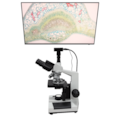 Microscópio Trinocular Com Câmera-1339fc10-3f5e-4ec6-b12e-bf921fd14f43