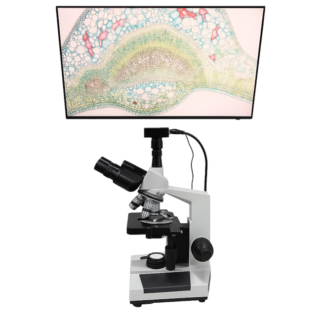 Microscópio Trinocular Com Câmera-c980db75-5ada-4433-b99c-592fba9511ce