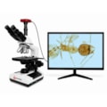 Microscópio Trinocular Com Câmera-74727839-c707-4c4d-a9c8-f58a658b8f1a