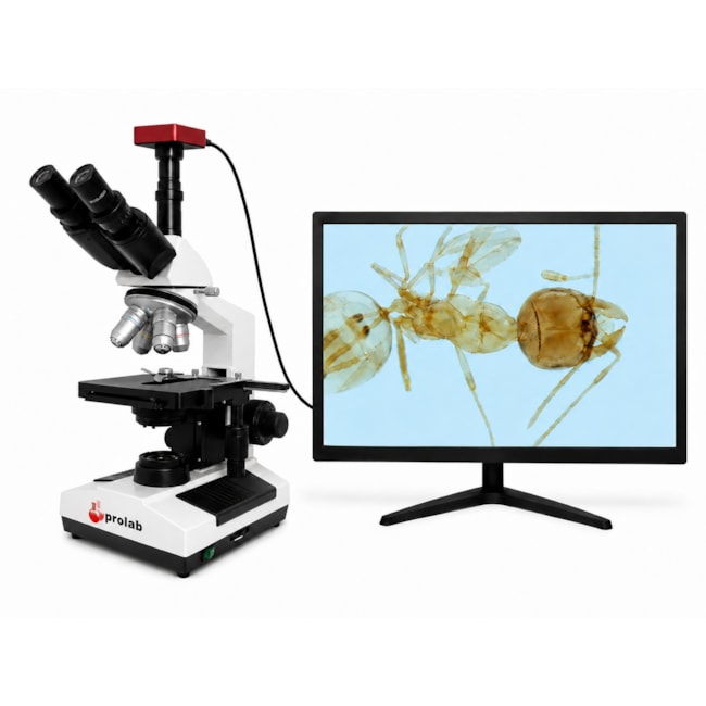 Microscópio Trinocular Com Câmera-eec61f43-491d-443d-9d17-ea33a8902fed