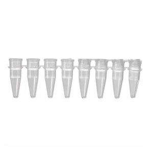 Microtubo Pcr 200ul Em Tiras Kasvi