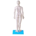 Modelo Acupuntura Feminino 50cm-68cd587e-d4da-4695-a280-5348e4f32c69