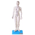 Modelo Acupuntura Feminino 50cm-94726cc1-bf05-4da4-9ebc-43c5525b0d3a