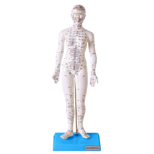 Modelo Acupuntura Feminino 50cm