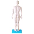 Modelo Acupuntura Masculino 50cm-5f5efb9a-f3b0-4cc0-9321-f830d19ddb3c