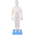 Modelo Acupuntura Masculino 50cm-e3b90dbc-ed88-42ce-92e0-4340ff3b2c20