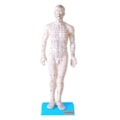 Modelo Acupuntura Masculino 50cm-019e50c5-c41a-4eb7-bd21-8c9f129cd319