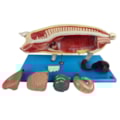 Modelo da Anatomia Do Porco-20659854-1ce9-4ab2-b298-62e192211108