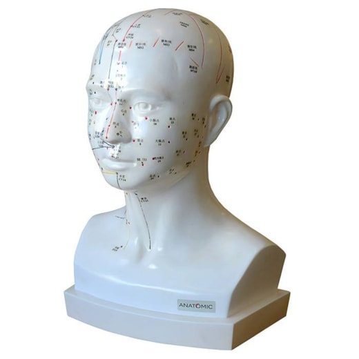 Modelo de Acupuntura da Cabeça com Pontos e Meridianos