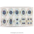 Modelo De Meiose Com 10 Peças-5dae7a42-c638-42d8-a087-066ecb59a68a