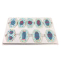 Modelo De Mitose Com 9 Peças-7605cf43-666b-48e9-b54c-46efc1a7585e