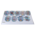 Modelo De Mitose Com 9 Peças-8b28f569-67c3-4c4a-b34a-a833dbc1a591
