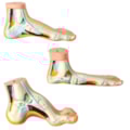 Modelo de Pés  Normal, Chato e Curvo-ccc3d04c-cd76-4d55-8900-4220c20d711f