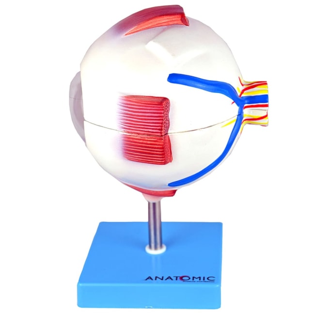 Olho 8 Partes-7138e08f-2056-4f48-9440-2f7d12aea07d