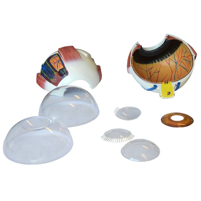 Olho 8 Partes-d3a55d93-7cf2-4003-80a0-cef514b40145