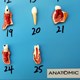 Patologia Dentária 25 Peças