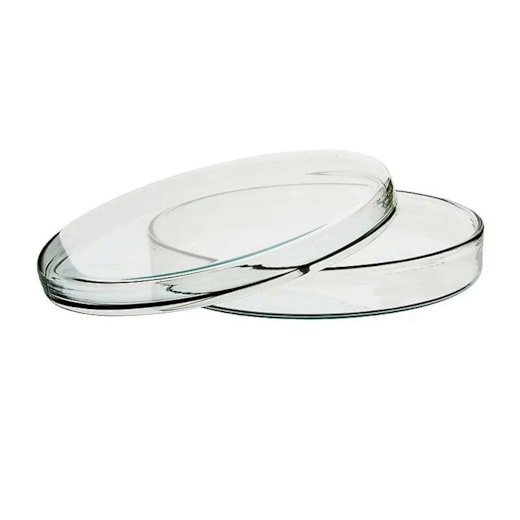 Placa de Petri de Vidro 120 x 20mm