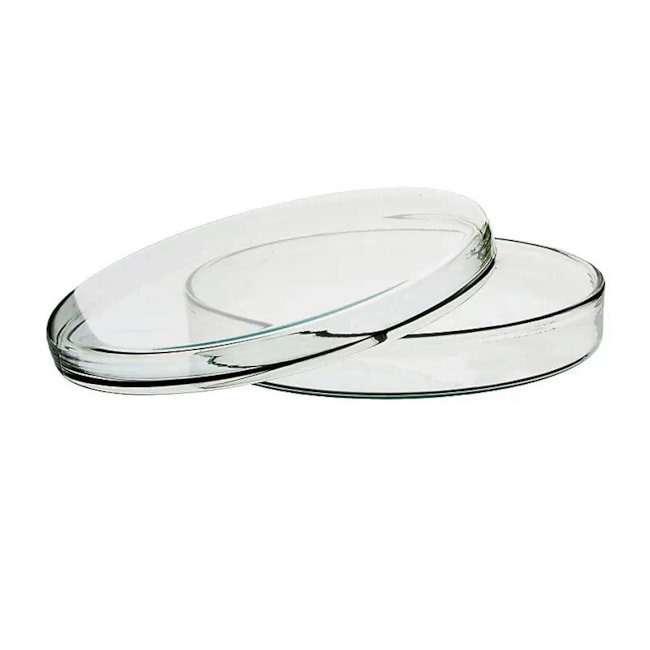 Placa de Petri de Vidro 80 x 15mm-c712ae41-fd7d-4da4-855d-69bd9ead1f9b