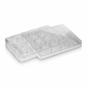 Placa Para Cultura de Células 12 Poços Kasvi