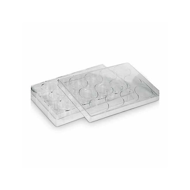 Placa Para Cultura de Células 12 Poços Kasvi-372b7331-2cf6-479e-b23f-e5faec6c4743