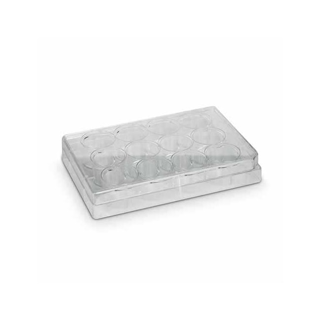 Placa Para Cultura de Células 12 Poços Kasvi-8ec4470a-9dde-4636-b32d-4980a5a49c14