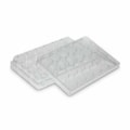 Placa Para Cultura de Células 24 Poços Kasvi-63205a61-0bd8-4bc8-846a-1cef2a1407b9